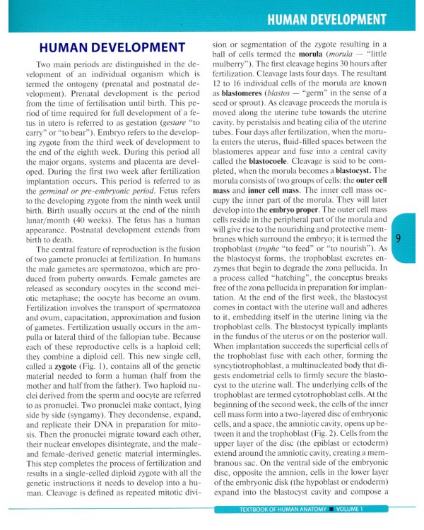 Textbook of Human Anatomy. In 3 vol. Vol. 1: Locomotor apparatus: на англ.яз