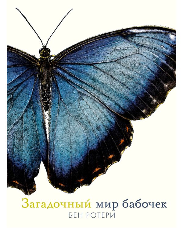 Загадочный мир бабочек. Энциклопедия