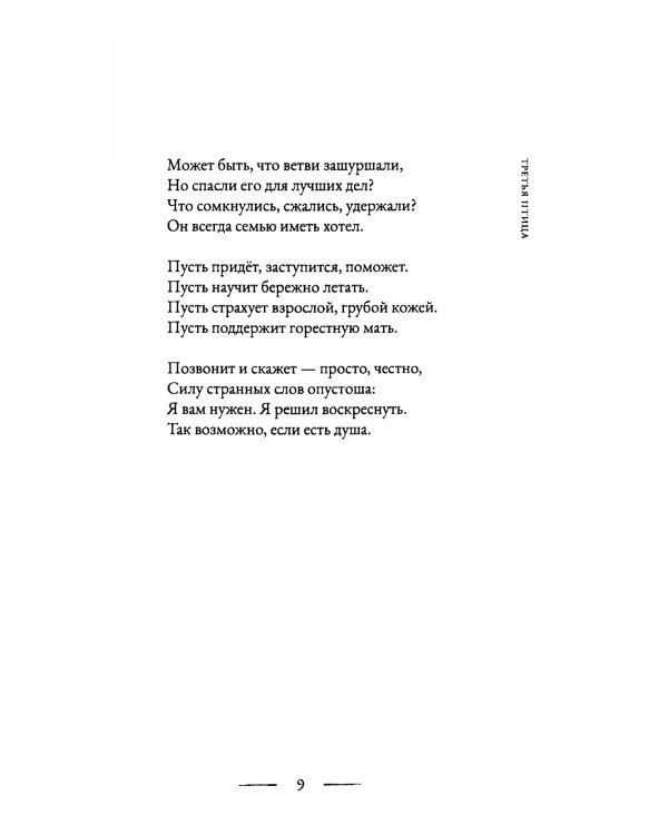 Третья птица