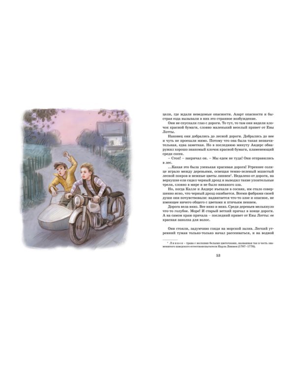 Калле Блумквист и Расмус: повесть