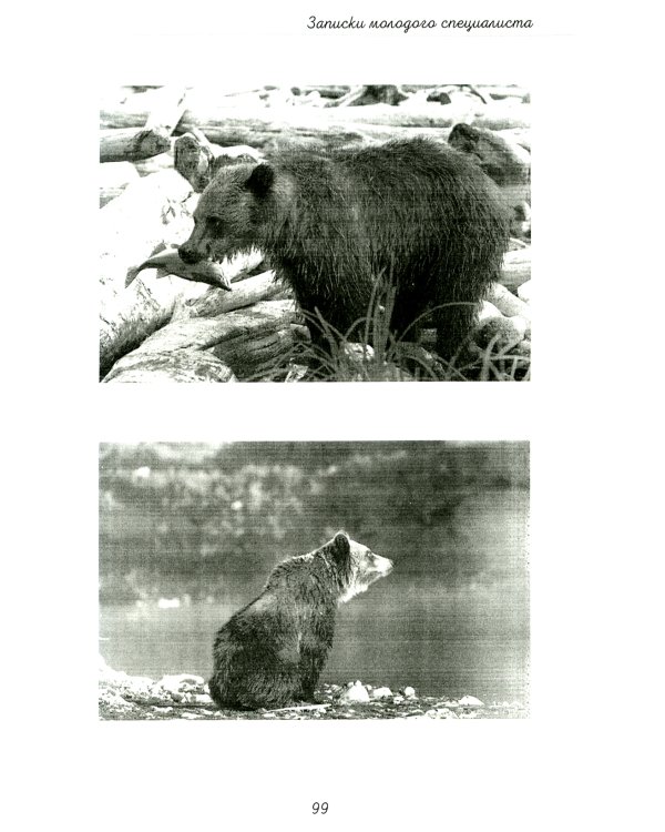 Записки молодого специалиста: мемуары