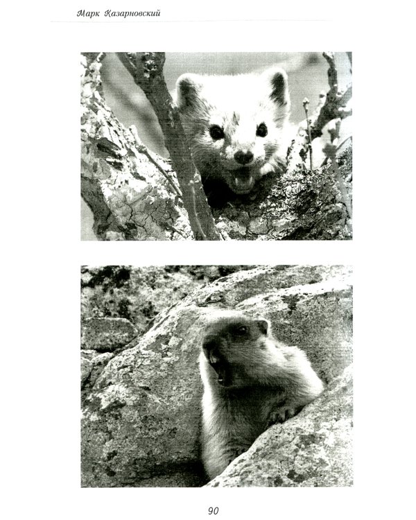 Записки молодого специалиста: мемуары