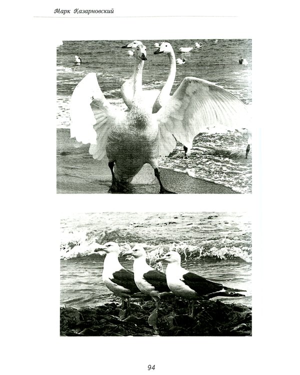 Записки молодого специалиста: мемуары