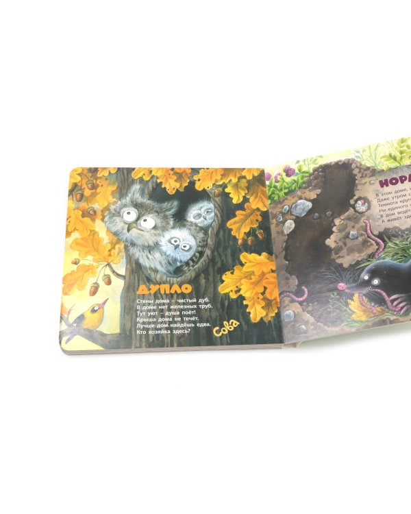 Кто там в домике живет?