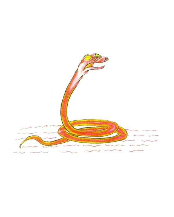 Тувинская демонология. 2-е изд