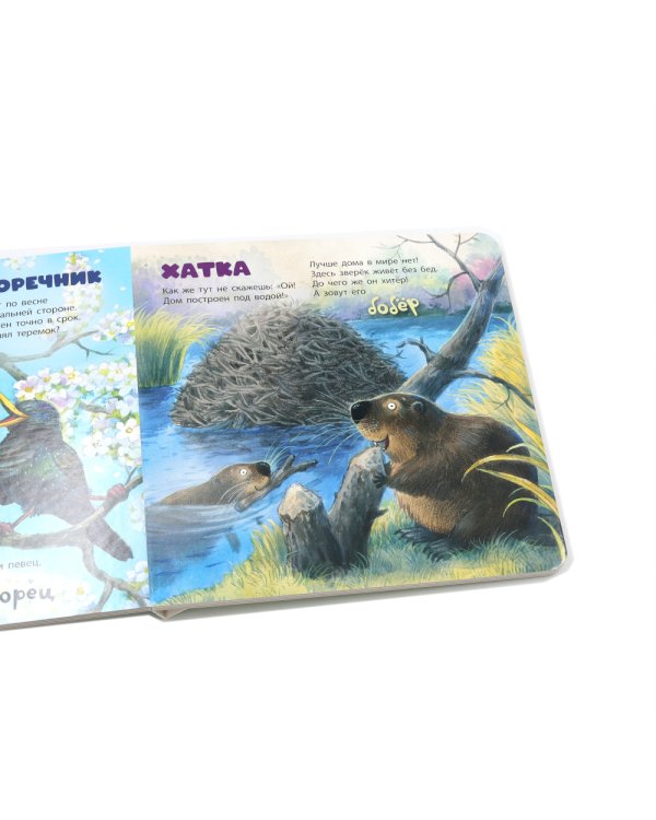 Кто там в домике живет?