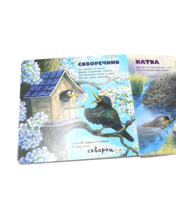 Кто там в домике живет?