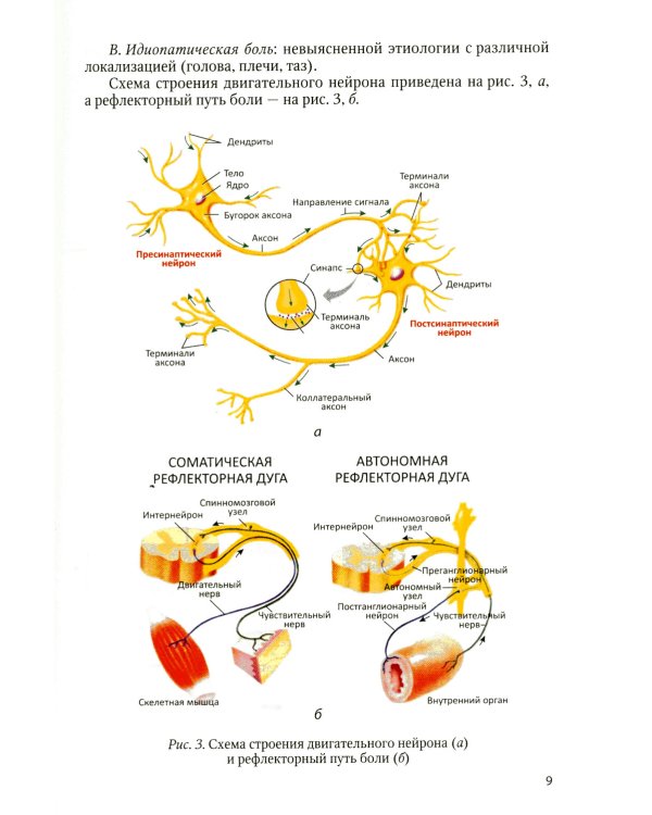 Оценка боли и мышечного тонуса в шкалах, тестах и таблицах (у детей и взрослых). 2-е изд., перераб. и доп
