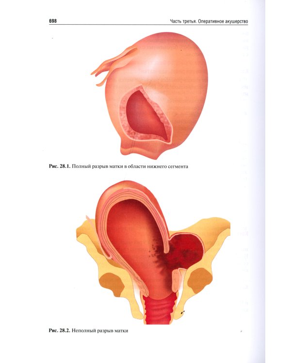 Акушерство. Руководство к практическим занятиям: Учебное пособие. 6-е изд., перераб.и доп