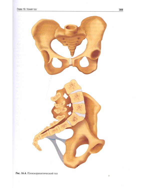 Акушерство. Руководство к практическим занятиям: Учебное пособие. 6-е изд., перераб.и доп