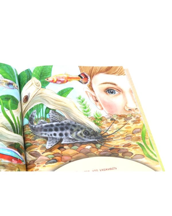 Домашние питомцы