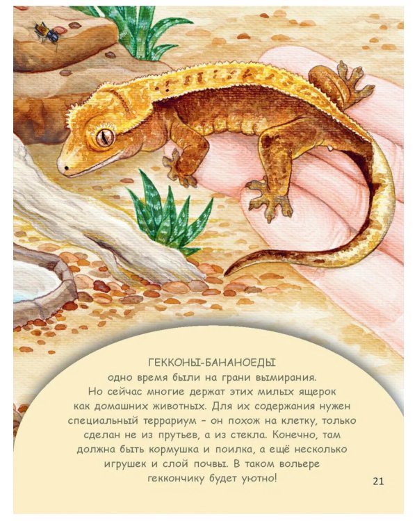 Домашние питомцы