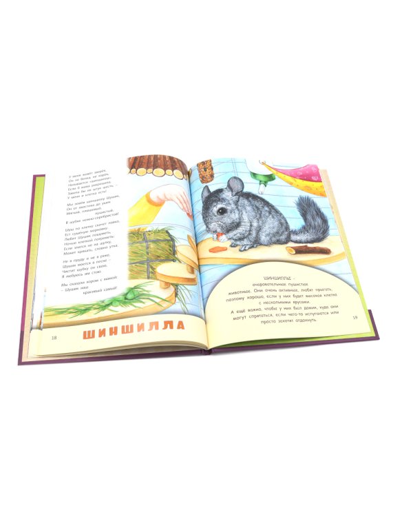 Домашние питомцы