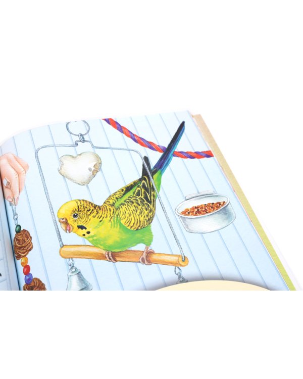 Домашние питомцы