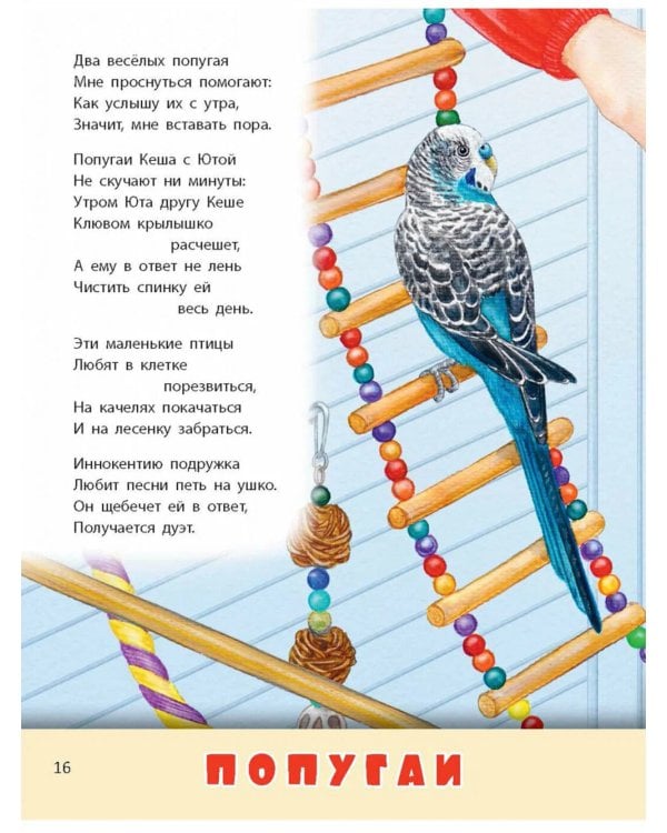 Домашние питомцы