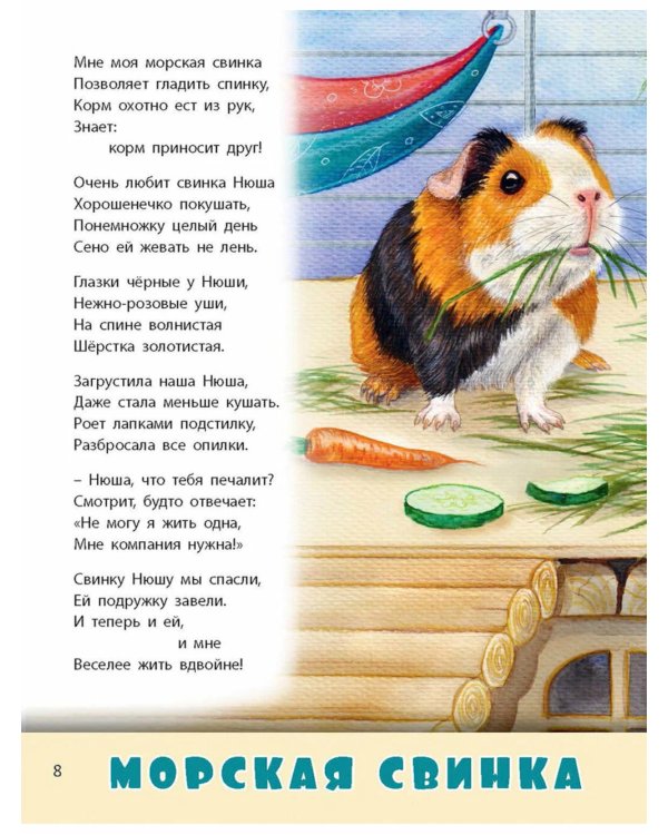 Домашние питомцы