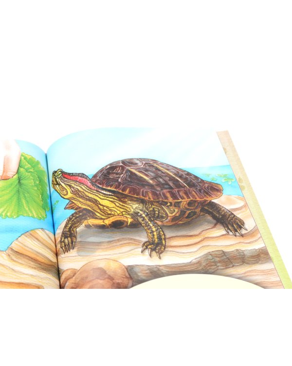 Домашние питомцы