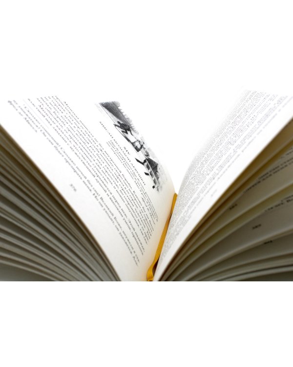 Красное и черное