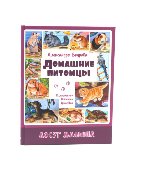 Домашние питомцы