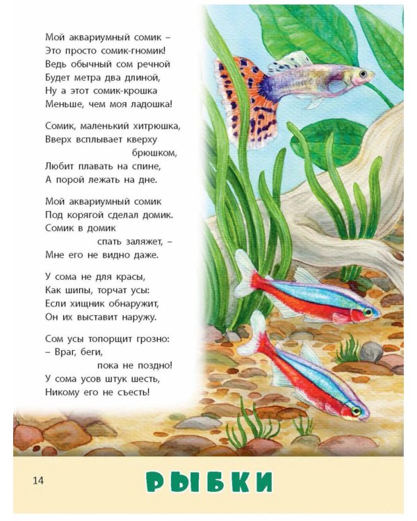 Домашние питомцы