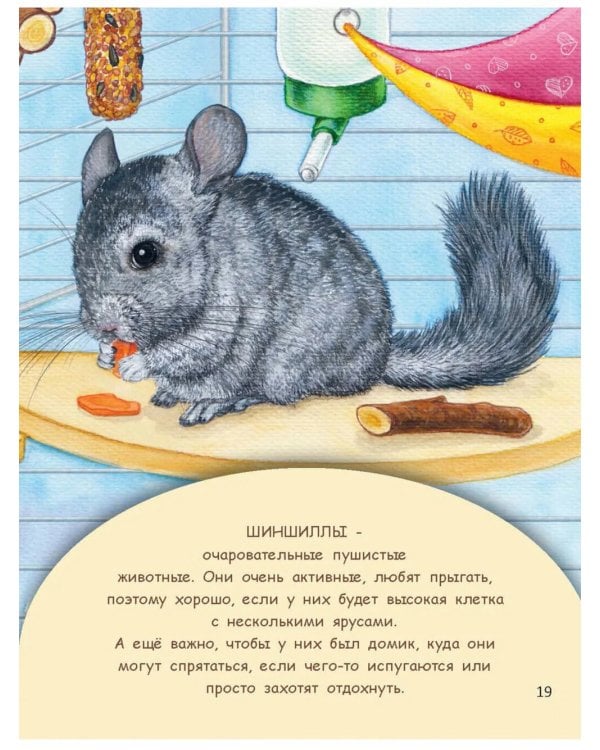 Домашние питомцы