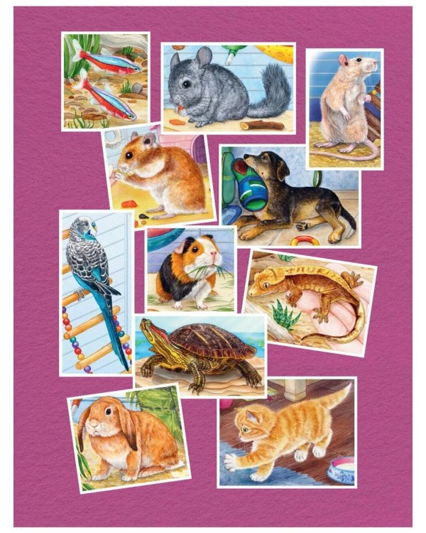 Домашние питомцы