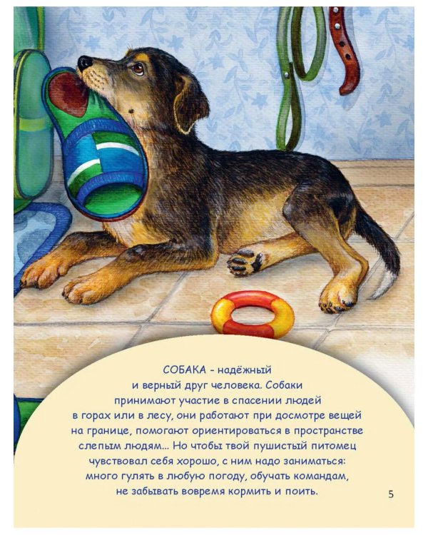 Домашние питомцы