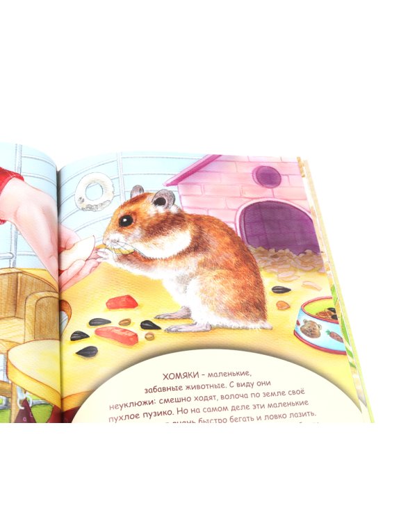 Домашние питомцы