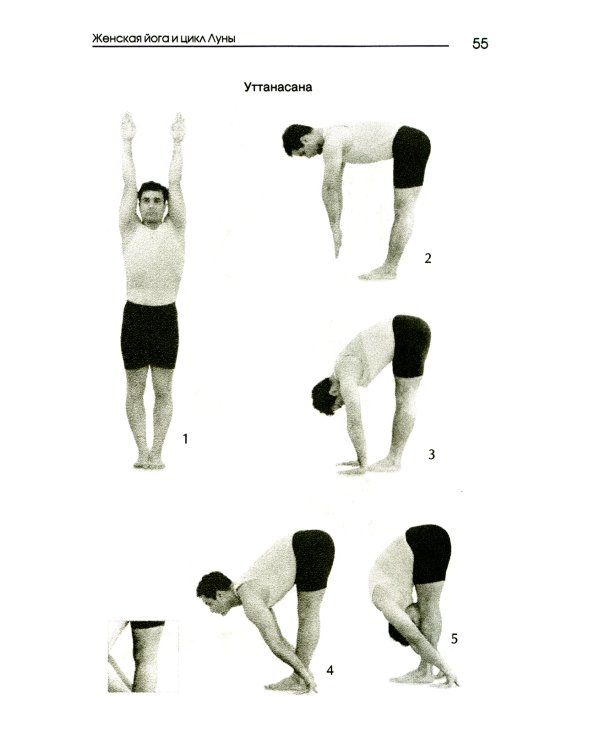 Женская йога и цикл луны. Месячный комплекс асан для женщин. 5-е изд