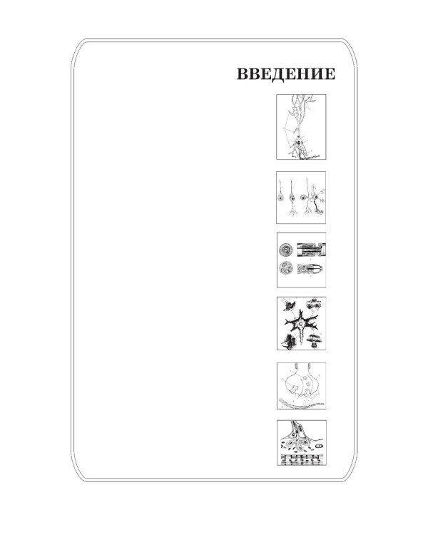 Функциональная анатомия нервной системы: Учебное пособие. 9-е изд., перераб.и доп