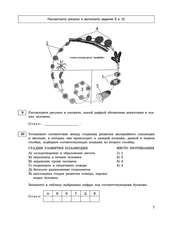 ЕГЭ-2024. Биология. Тренировочные варианты. 20 вариантов