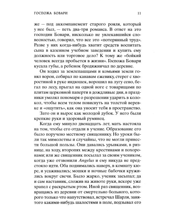 Госпожа Бовари: роман