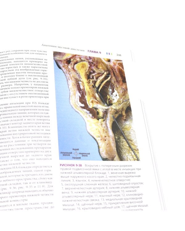 Иллюстрированная анатомия головы и шеи. Профессиональная визуализация в дентальной имплантации. (комплкт из 2-х книг)