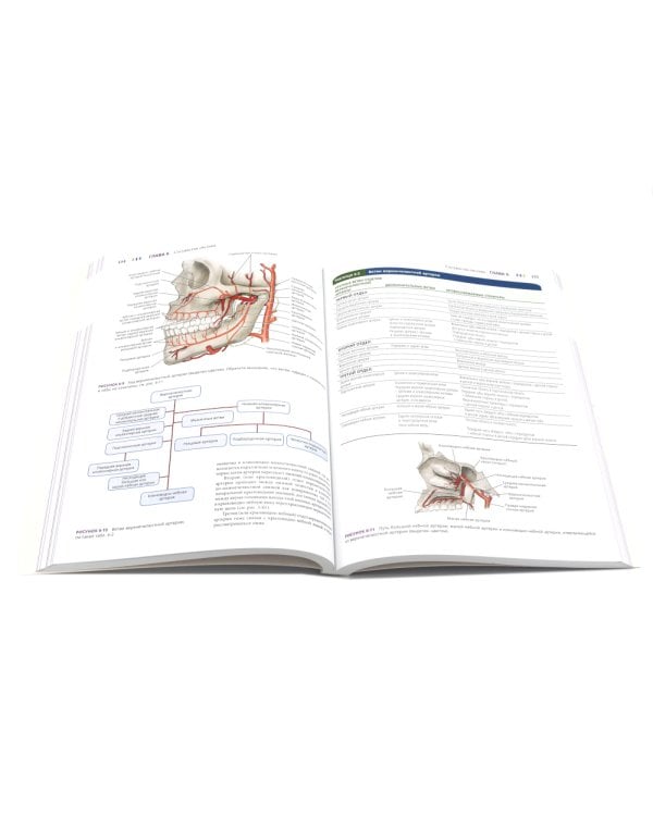 Иллюстрированная анатомия головы и шеи. Профессиональная визуализация в дентальной имплантации. (комплкт из 2-х книг)