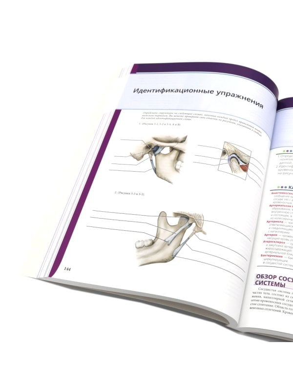 Иллюстрированная анатомия головы и шеи. Профессиональная визуализация в дентальной имплантации. (комплкт из 2-х книг)