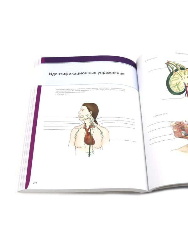 Иллюстрированная анатомия головы и шеи. Профессиональная визуализация в дентальной имплантации. (комплкт из 2-х книг)