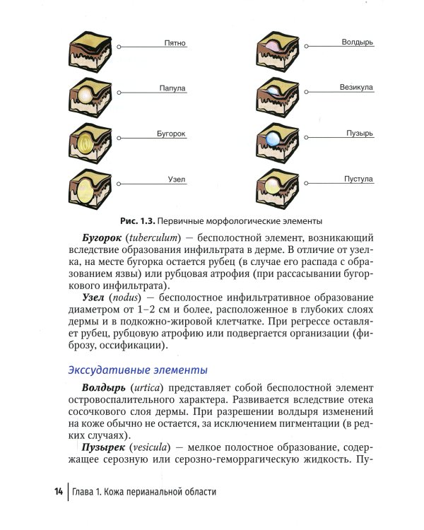 Заболевания кожи промежности и перианальной области