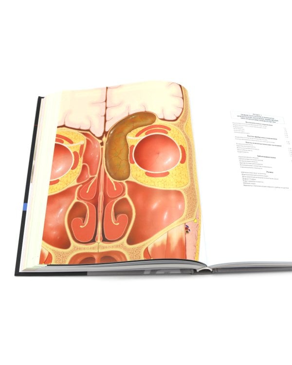 Иллюстрированная анатомия головы и шеи. Профессиональная визуализация в дентальной имплантации. (комплкт из 2-х книг)