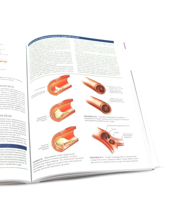 Иллюстрированная анатомия головы и шеи. Профессиональная визуализация в дентальной имплантации. (комплкт из 2-х книг)