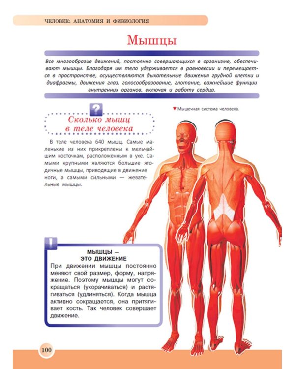 Новейшая энциклопедия школьника