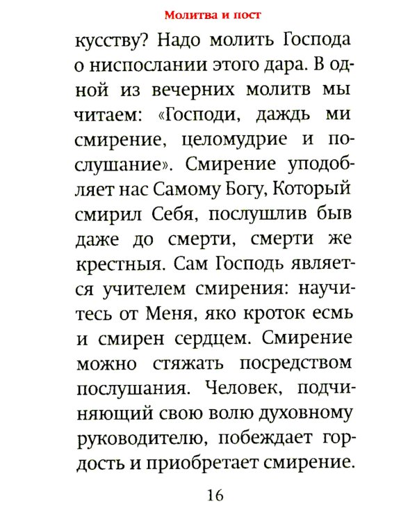 Оптинский цветник