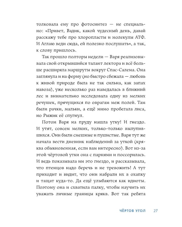 Чертов угол