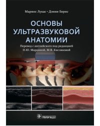 Основы ультразвуковой анатомии