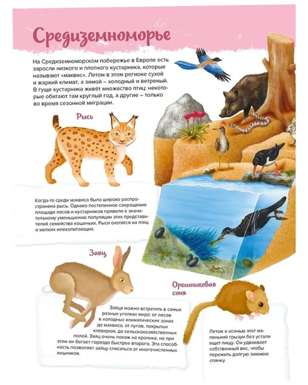 Животные. Мой первый атлас в картинках