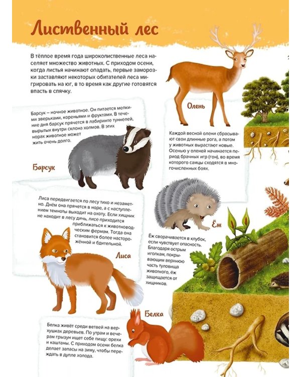 Животные. Мой первый атлас в картинках