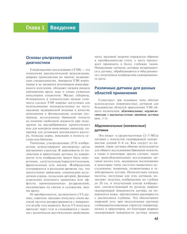 Основы ультразвуковой анатомии