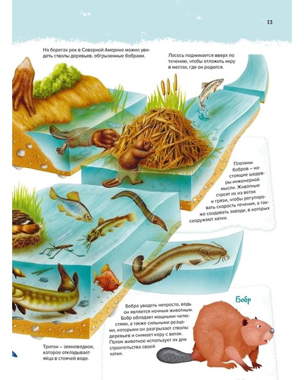 Животные. Мой первый атлас в картинках