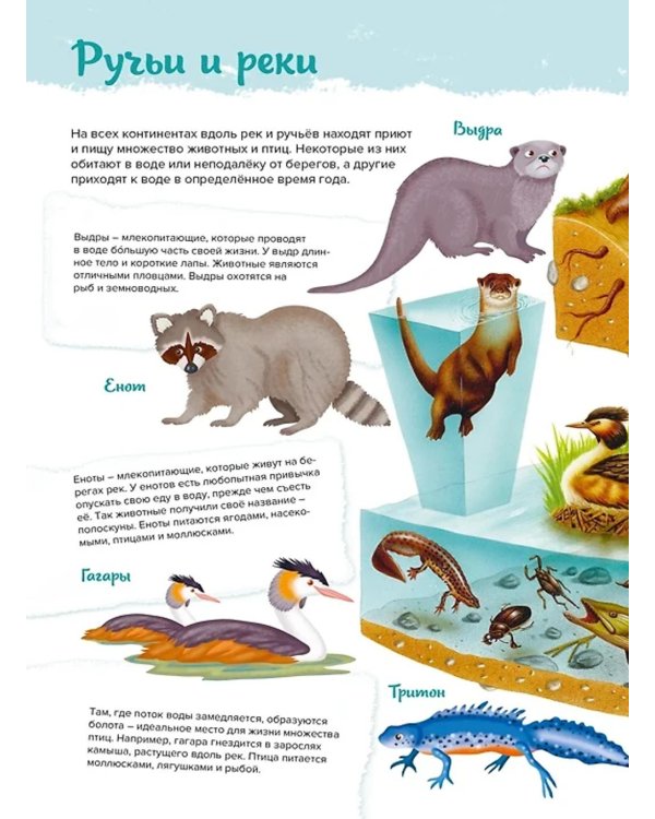 Животные. Мой первый атлас в картинках