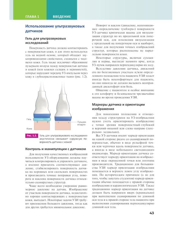 Основы ультразвуковой анатомии