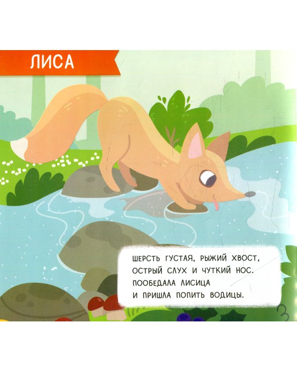 Лес: мини-энциклопедия для крохи